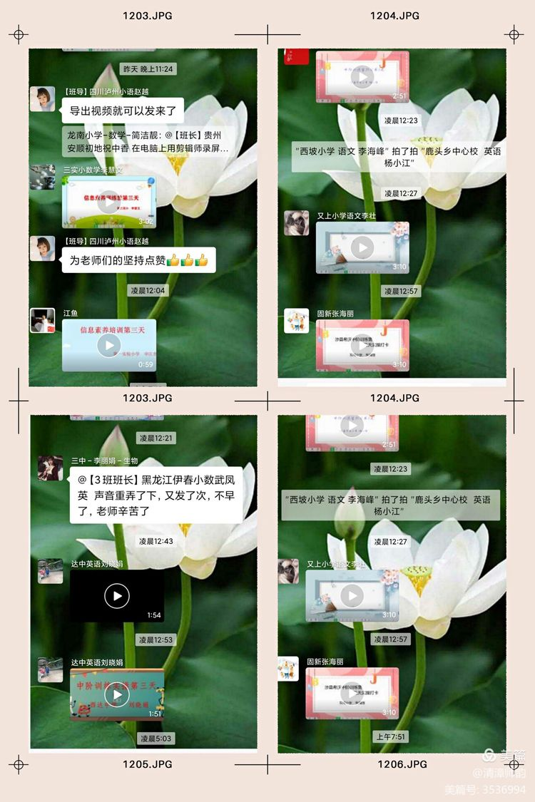 图片13.png 图片13.png